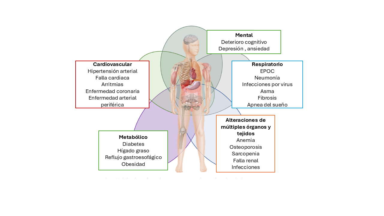 Esquema infográfico de patologías más prevalentes en geriatría clasificadas por dominios clínicos y sistémicos en la persona mayor